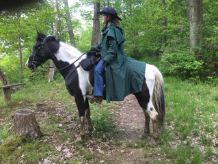 Owner Review: Glushu for heavy horses.