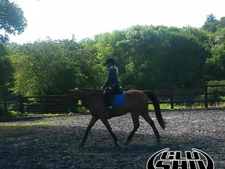 Owner testimonial: Lame with sever bruising.