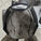 Farrier Review: Glushu for laminitic horse.