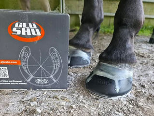 Farrier Report: Using Glushu when nailing is not an option.