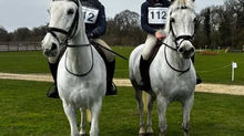 Farrier Review: Glushu for Distance Rider Timmy.