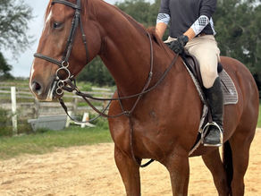 Owner Review: Glushu for thin walls and soles