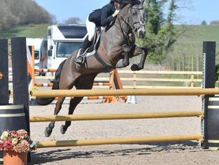 Kiltiernan Gold Returns to the Arena Thanks to Glushu