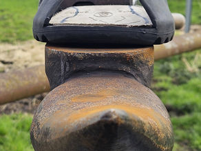 Farrier Review: Glushu for hoof confinement