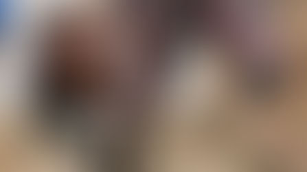 Farrier Photos: New Glushu for Margaux.