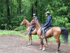 Owner Review: Glushu for Endurance Riding