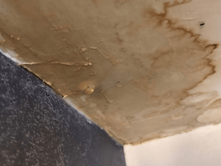 The Ultimate Guide to Tackling Ceiling Leaks: Expert Tips for Water Damage Repair