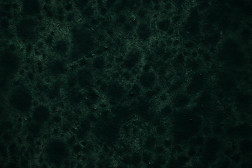 darkmold (2).png