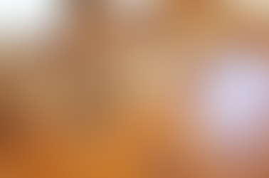 Survival of the Wettest: Which Wood Floors Can Get Wet?