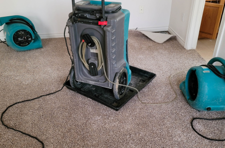 Remove Moisture from Room: Fight Mold in High-Humidity Areas