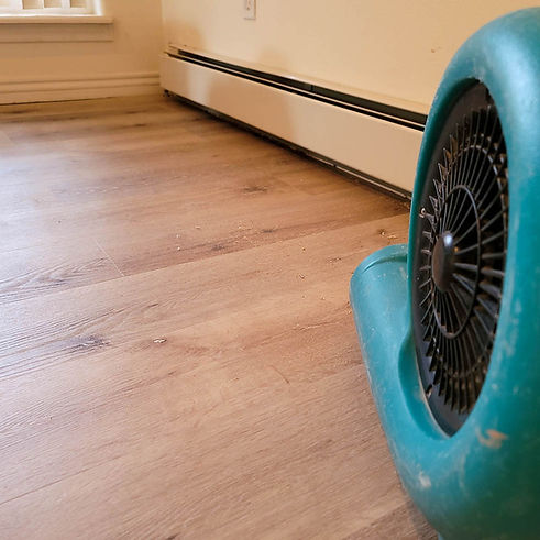 airmover fan blowing at wall for drying.jpg