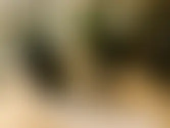 Section 174 Cash Flow Tactics