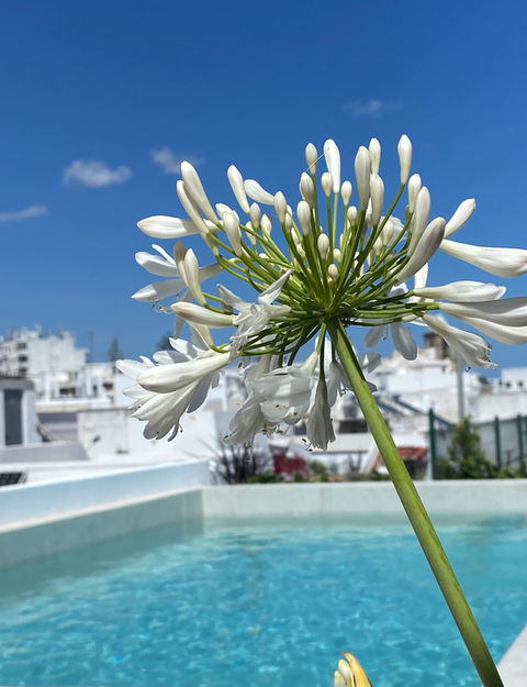 Image of resort pool