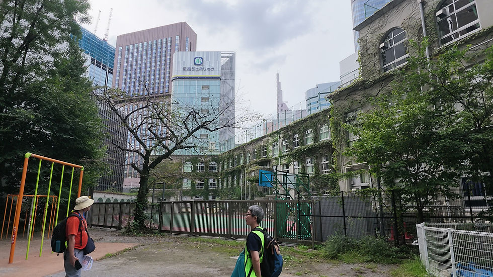 公園越しに見た泰明小学校の蔦に覆われた校舎とアーチ窓