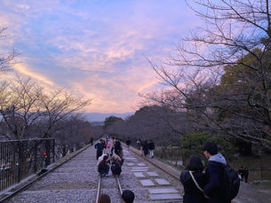 What Is the Best Way to Tour Kyoto?
