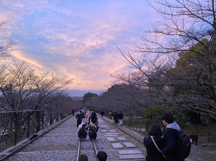 What Is the Best Way to Tour Kyoto?