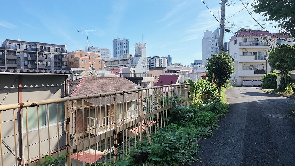 長延寺谷に沿う高い道と、道より低い位置に見える建物