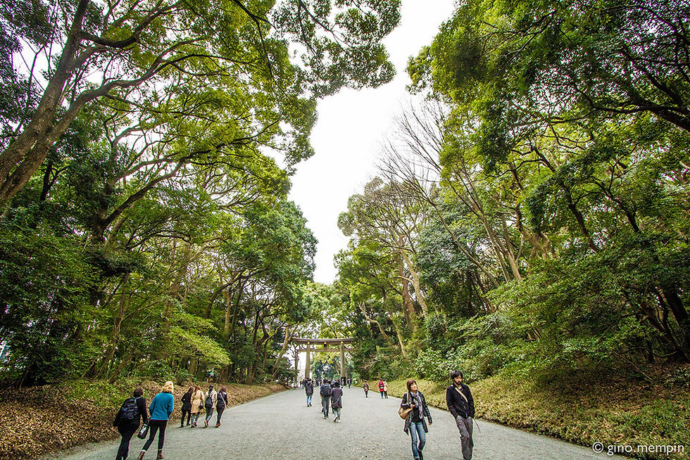 Things to do in Tokyo
