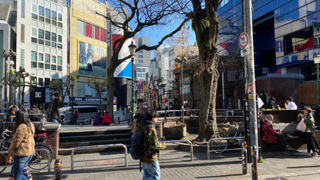 Osaka Free Walking Tour