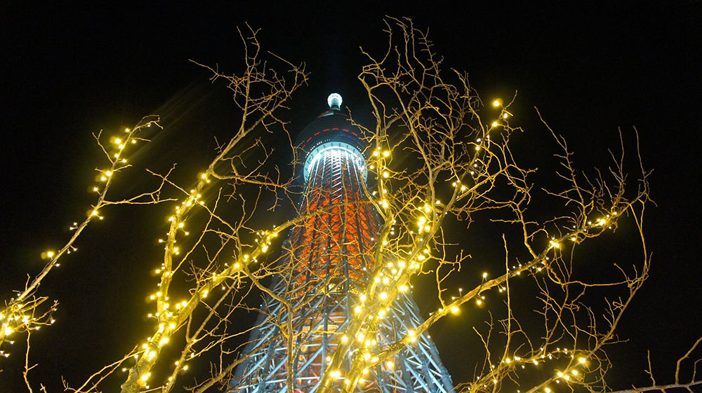 5 Japanese Things to Do During the Christmas Season - Tours in Tokyo