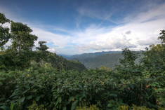 bwindi-lodge-15jpeg