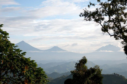 bwindi-lodge-12jpeg