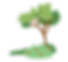 tree.png