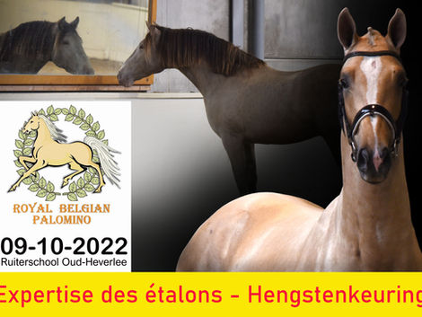 Expertise des étalons 2022