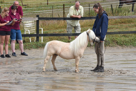DSC_0646.JPG