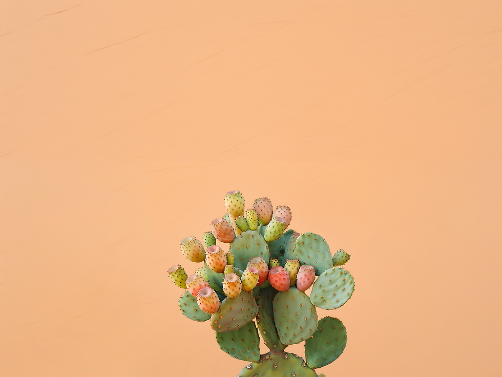 prickly-pear-cactus-with-fruit (1).png