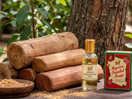 Mysore Sandalwood vs Australian Sandalwood A Comprehensive Guide for Fragrance Enthusiasts
