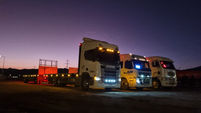 flota atardecer.jpg