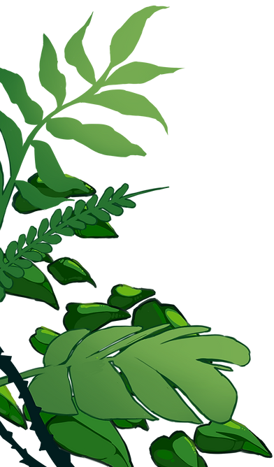 緑の落ち着きを与える植物