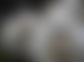 Why Merino Wool Is the Quiet Luxury Staple You Need This Season