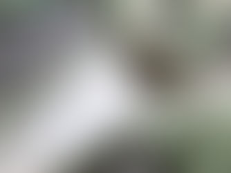 The Market Reality: Why Fine Count Cashmere Merino Blends Are Hard to Source