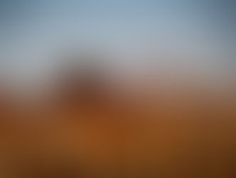 Agro atinge recorde de 1.990 pedidos de recuperação judicial em 2025, diz Serasa