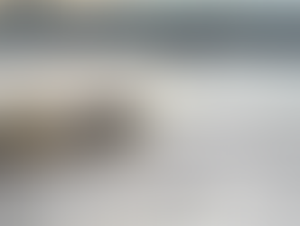 Turistas são cercados por dezenas de jacarés-açu durante passeio em lago da Amazônia