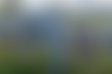 Exportações goianas registram alta de 19,5% em 2023 com saldo de US$8,9 bilhões