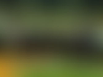 Pub 45 é Campeão na Categoria Adulto da 18ª Liga Estudantil de Jaraguá