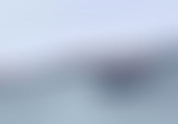 Fãs de Fórmula 1 em interlagos entoam xingamentos contra a TV Globo