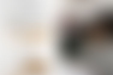 Faixas-Pretas multicampeões Nando Alves e Isabela Recio comandarão seminário de jiu-jítsu em Goiânia