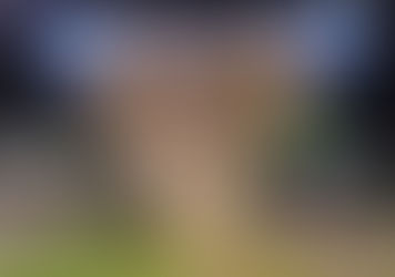 Monte Belo instala “calcinha iluminada gigante” na decoração de Natal e viraliza nas redes