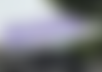 Jaraguá : Frequentadores do Restaurante do Bem questionam a qualidade das marmitas