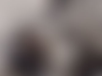 Onça é resgatada por equipe proteção animal após ser vista nadando por horas no Rio