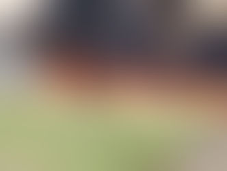 Incêndio atinge canavial da Unidade da Usina Otávio Lage, no município de Goianésia