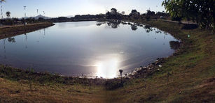Seca: Lago Passarela da Moda tem o pior nível desde 2012 quando foi inaugurado