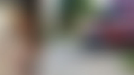 Homem é baleado por criminoso no Setor Santa Fé. Vítima estava em uma rede