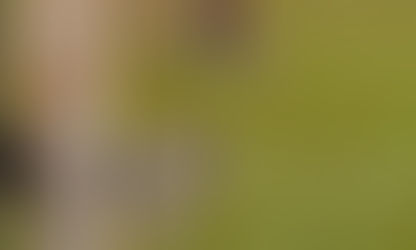 Jovem de 15 anos que disputava campeonato em Goianésia morre por problemas respiratórios