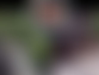 Motorista de Rubiataba morre em grave acidente entre dois caminhões na BR-153