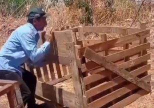 Solidariedade em ação: casal de Ceres constrói nova casinha para cães após incêndio no lixão